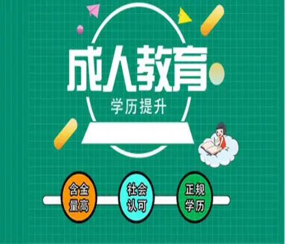 2024年北京学校成人高考函授大专本科学历报名简章