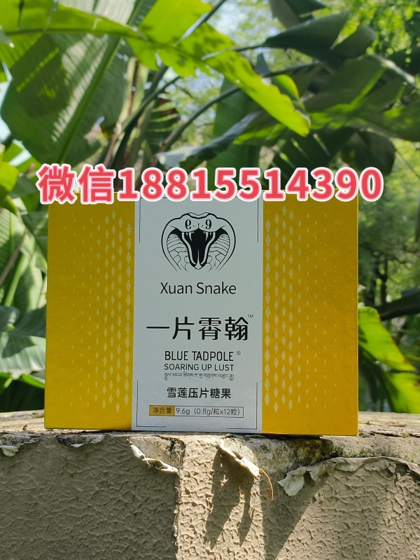 2025爆料!一片霄翰雪莲压片糖果市场价格(真实效果与感受)真实效果反馈!